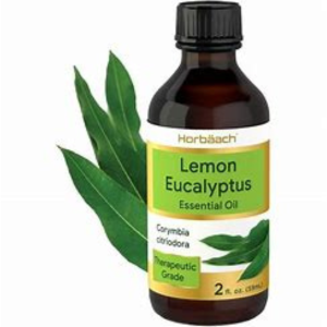 Eucalyptus oil in amber bottle with fresh leaves, used for natural relief, respiratory support, and eco-friendly home cleaning.